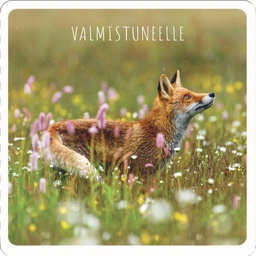 [24P4100] 2-os Valmistunut neliökortti