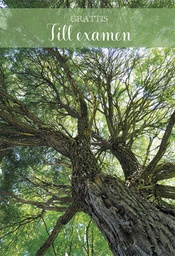 [24P4111] 2-os Valmistunut R rahakuori