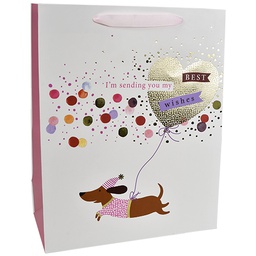 [6641566] Lahjakassi L/F