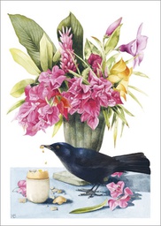 [27P00411] 1-os kortti Marjolein Bastin