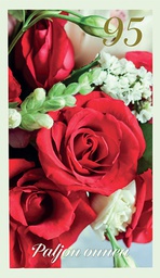 [17P95010] 2-os vuosikortti 95v folionumero