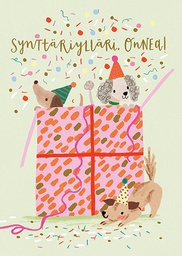 [2725522] 1-os kortti Louise Tiler