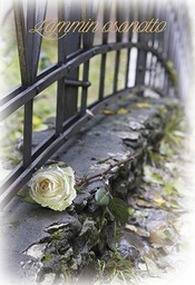 [1905671] 2-os osanotto