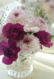 [1775723] 2-os vuosikortti R 75v