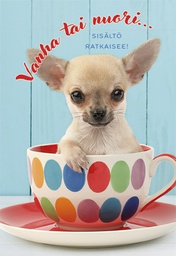 [1910155] 2-os syntymäpäivä