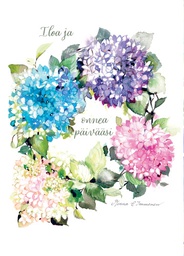 [27P00449] 1-os kortti Minna Immonen