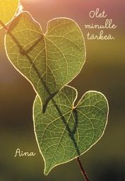 [49P00310] 2-os kortti Mieli ry