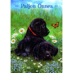 [4752846] 1-os lastenkortti Giordano