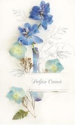 [31790] 2-os onnittelu