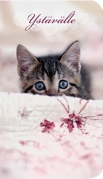 [49P00006] 2-os kortti kissat-kissat-kissat