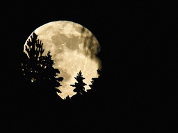 [318112] Juliste 30x40cm Täysikuu