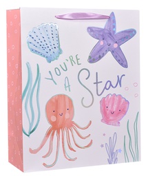 [6631016] Lahjakassi L/F meritähti