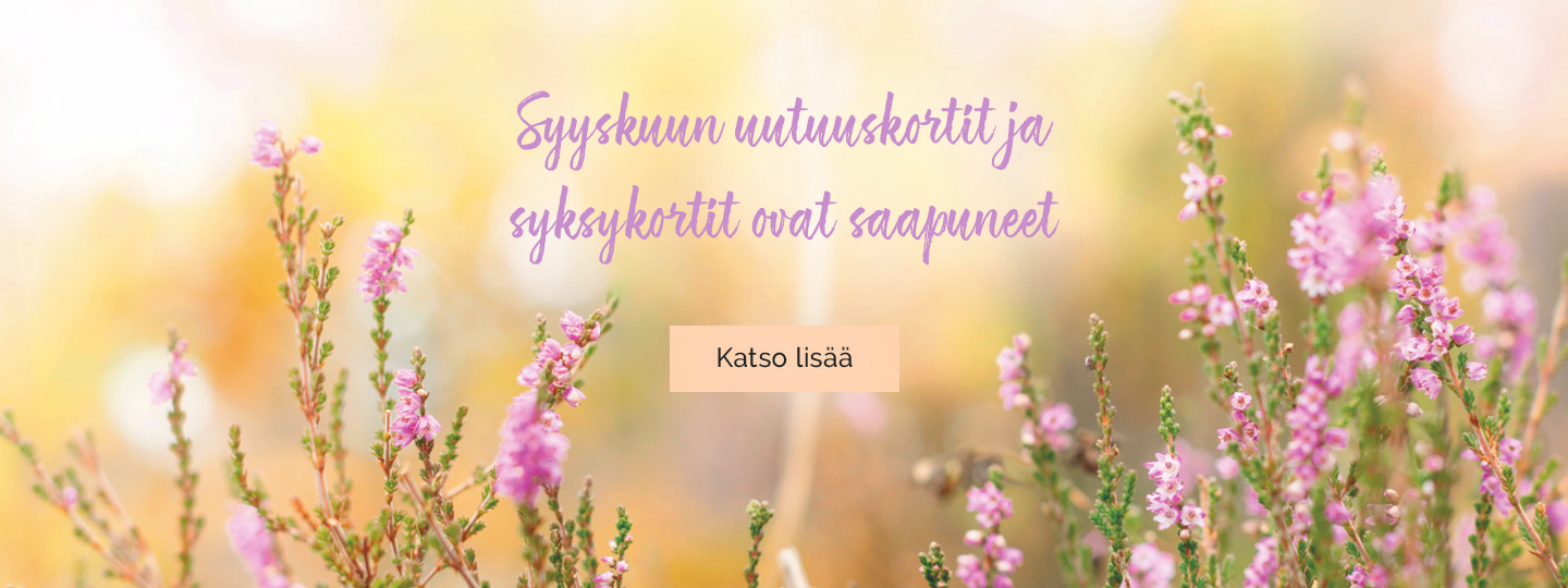 https://www.korttitukku.fi/shop/category/suomen-korttipiste-oy-b2b-kampanjat-syyskuun-kampanja-298