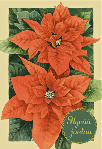 2-os joulu Marjolein Bastin