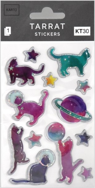 Erikoistarra KT30 avaruus kissat