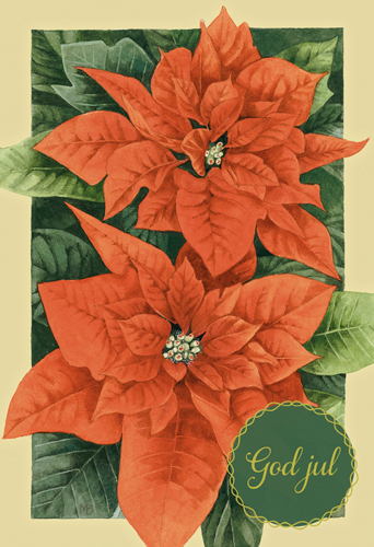 2-os joulu R Marjolein Bastin