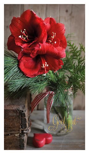 2-os joulu R Sari Savela