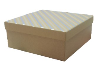 Lahjarasiasetti kraft hopearaita