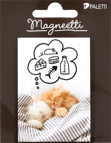 Magneetti kissat