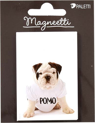 Magneetti pomo