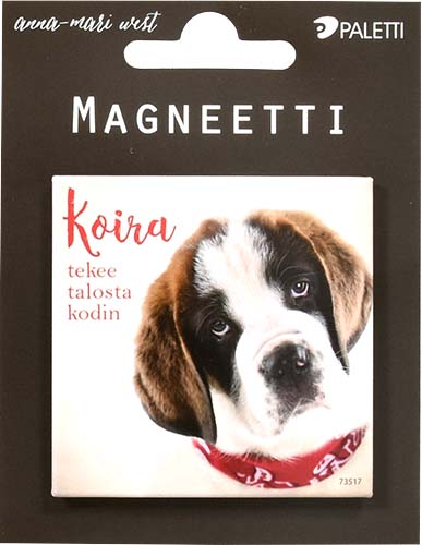 Magneetti West