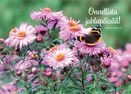 1-os onnittelu 