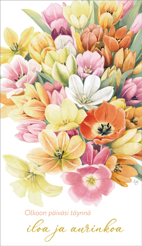 2-os kortti Marjolein Bastin