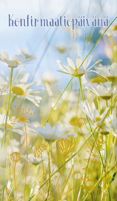 2-os rippi rahakuori