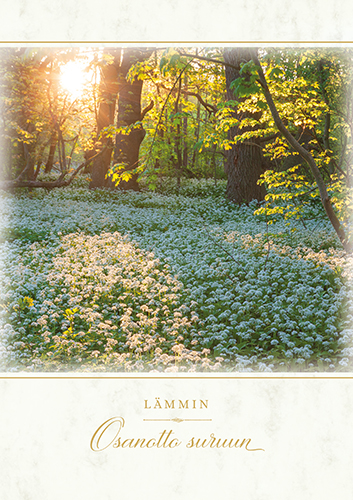 Suruadressi Niitty Sylva