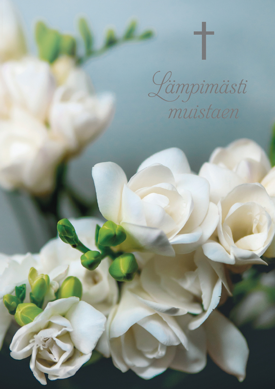 Suruadressi Freesia Sydänliitto