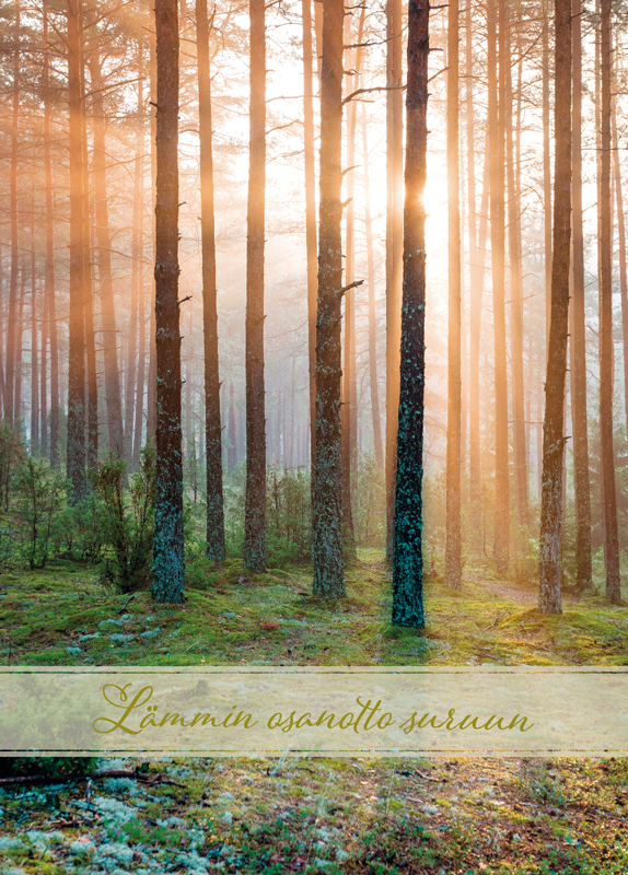 Suruadressi Salo Roosa nauha