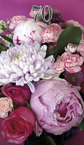 2-os vuosikortti 70v