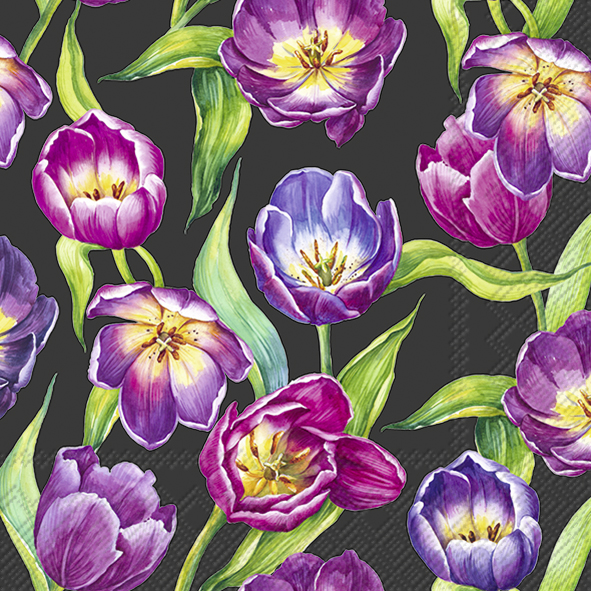 TULIP MEADOW black 33cm