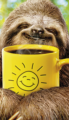 2-os hupikortti Avanti