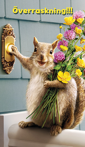 2-os hupikortti Avanti R