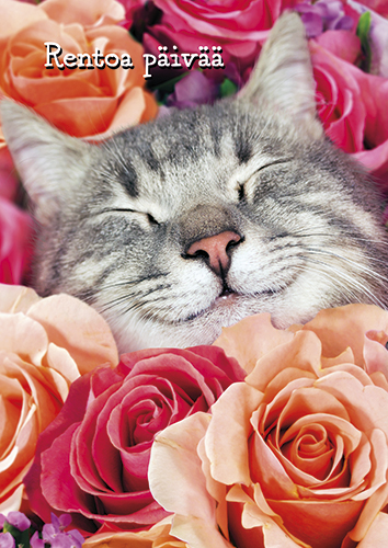 1-os hupikortti Avanti