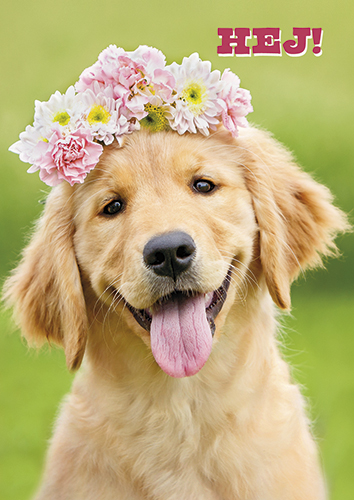 1-os hupikortti R Avanti