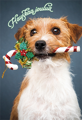 2-os joulu Muistiliitto PMM