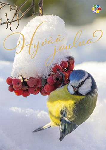 1-os joulu Syöpäpotilaat PMM