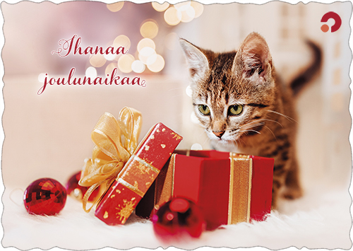 1-os joulu Muistiliitto PMM