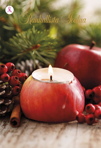 2-os joulu Roosa nauha PMM