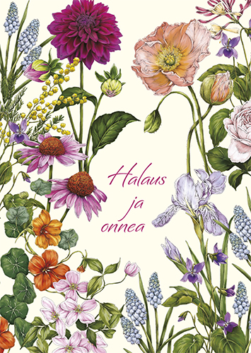 1-os kortti Catherine Lewis