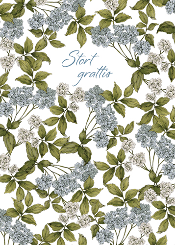 1-os kortti R Catherine Lewis