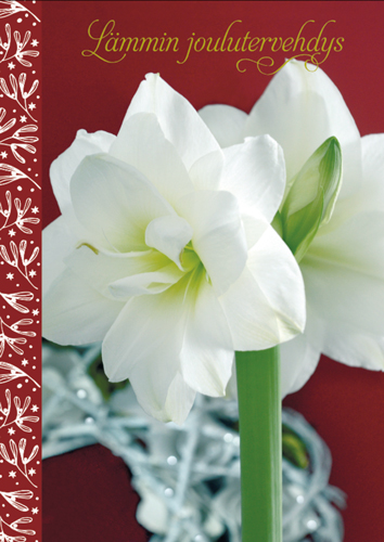 1-os joulu Sari Gustafsson