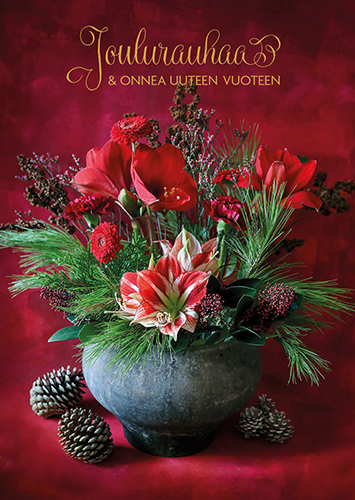 1-os joulu Sari Savela