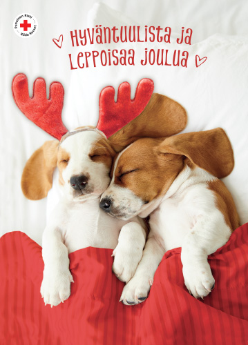 1-os joulu SPR Hallmark