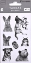 [351323] Paper sticker KT20 Finlayson Survivors