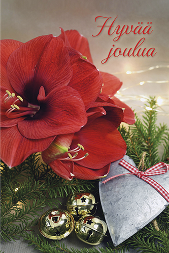 2-os joulupakettikortti valokuvattu Kati Pekkarinen