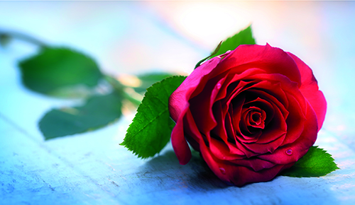 2-os onnittelu setelitasku