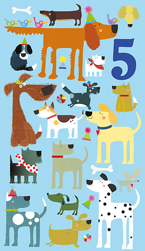 2-os vuosikortti 5v poika